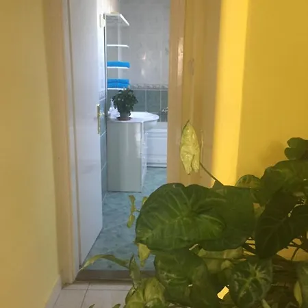 Baratsagos Haz Emelete Guest house *