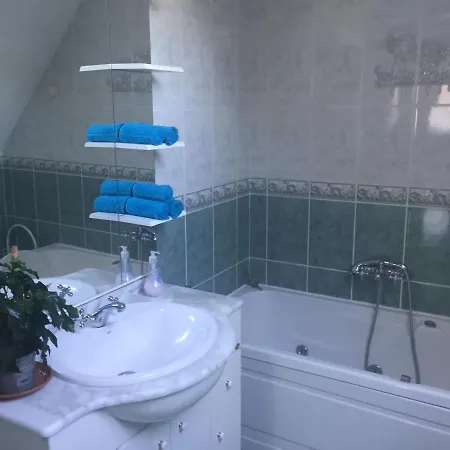 Pensionat Baratsagos Haz Emelete 4*